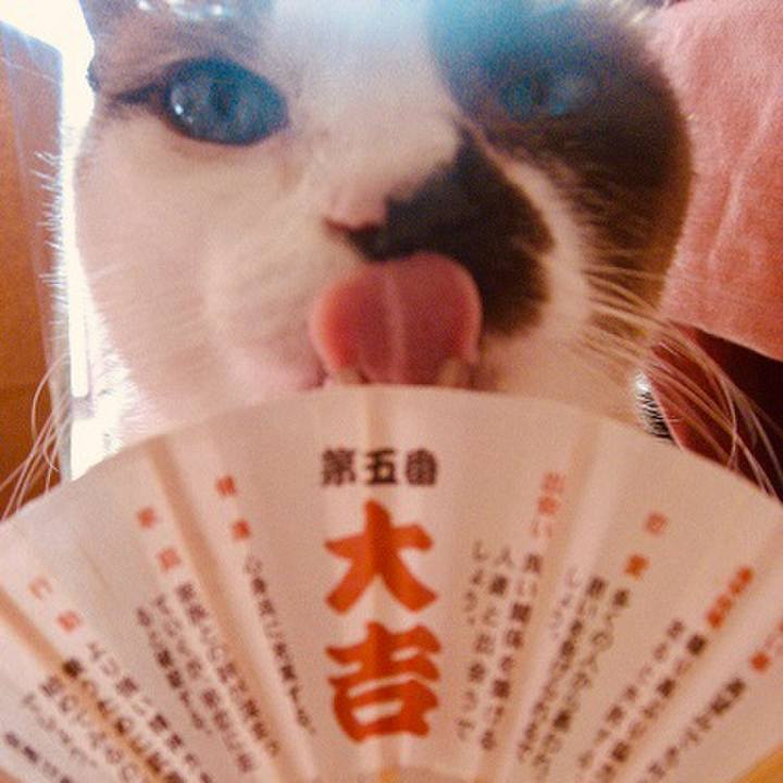 27a155a2 db91 4003 bc8d 23eecc2f4689 1728609463957