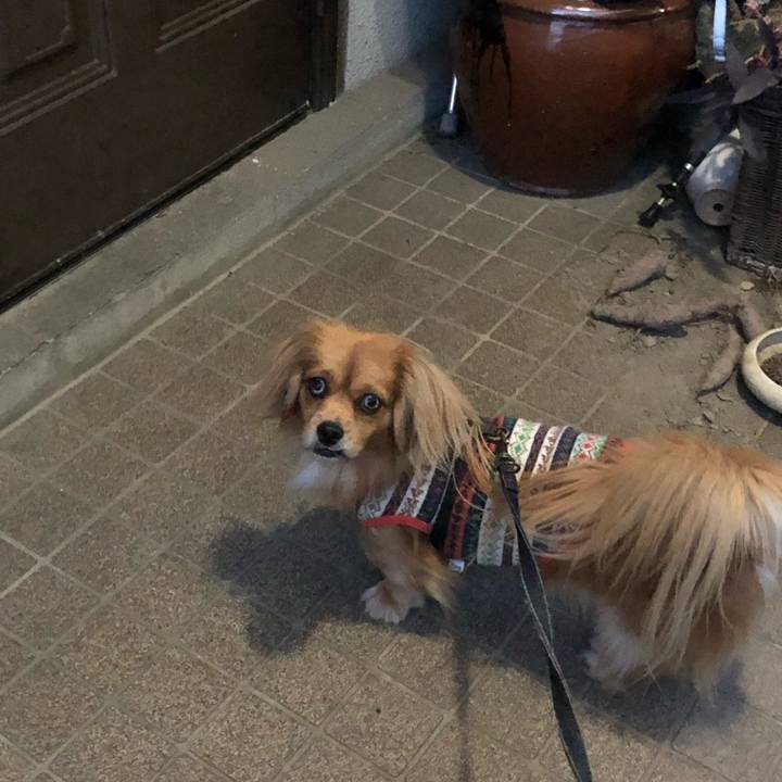 27a18ac4 f1fc 4872 af71 8a3f4141c29e 1544477824678