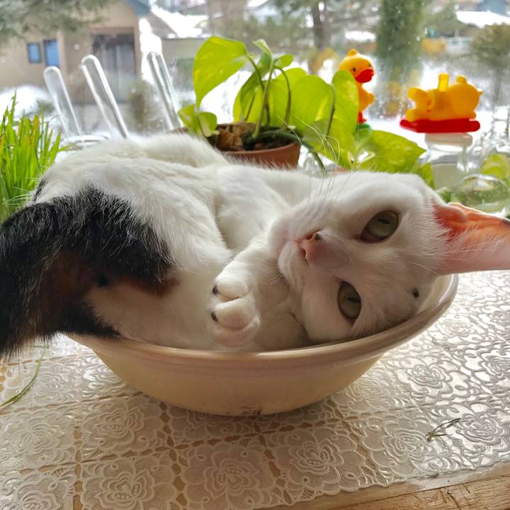 27a1d2cd 252b 4ebc b7fb 19982761706c 1551484032948