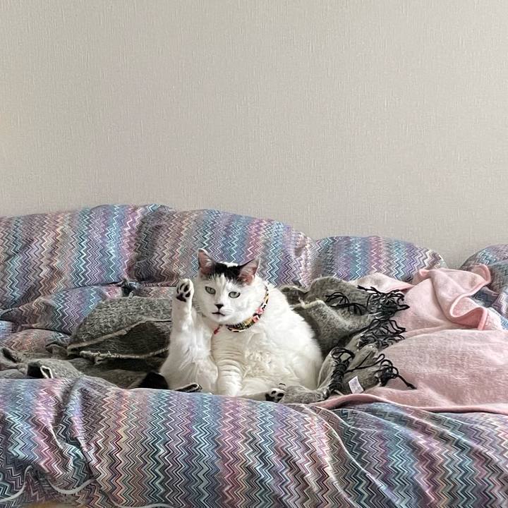 27a1e765 a509 46f5 acdd 19b37da5986b 1648007487090