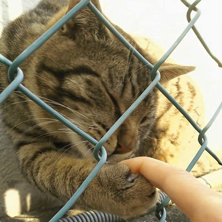 27a1e8b2 399b 4d48 bf18 2a3f2990e99b 1557565567915