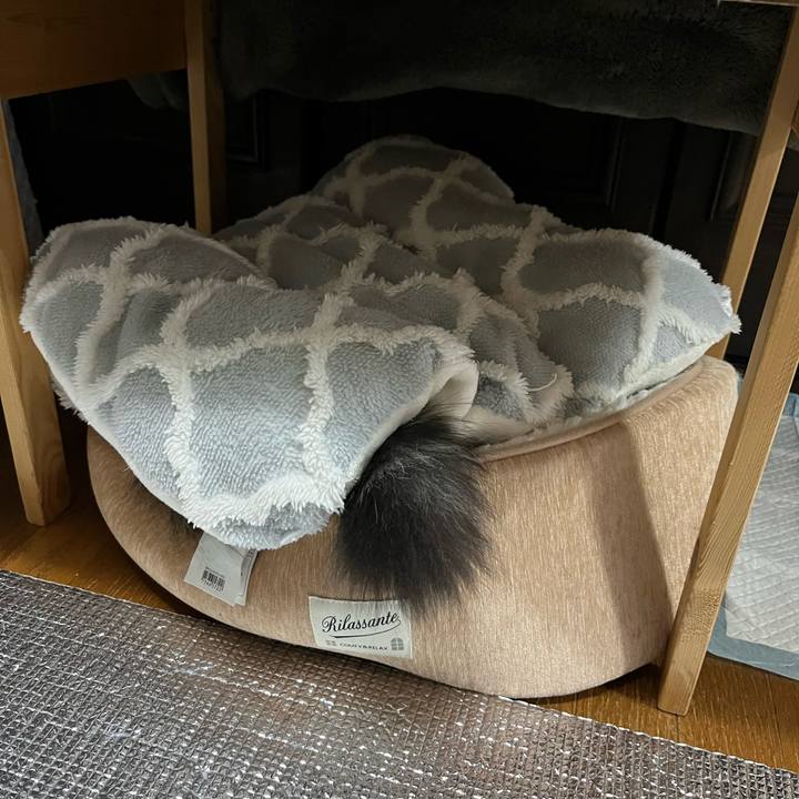 27a1eef2 98f4 4909 9be0 2667383f8c10 1772624025635