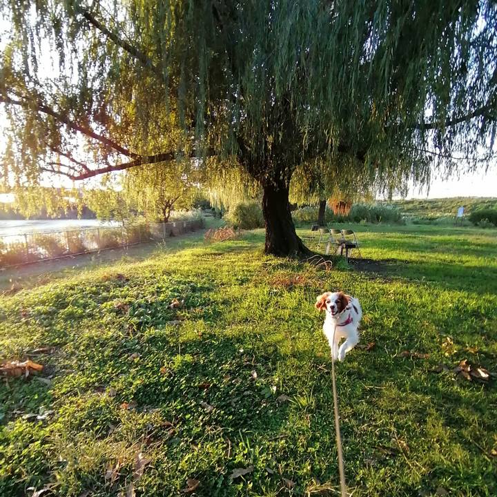 27a21b96 d75b 4037 ba81 af59fd896812 1603022774226