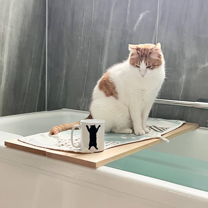 27a275c7 27c5 4356 8704 04c4a0e241ec 1772759180986