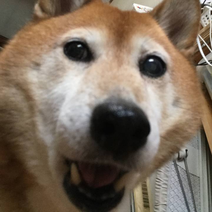 27a28975 2446 443b af35 157a3641a350 1623906333863