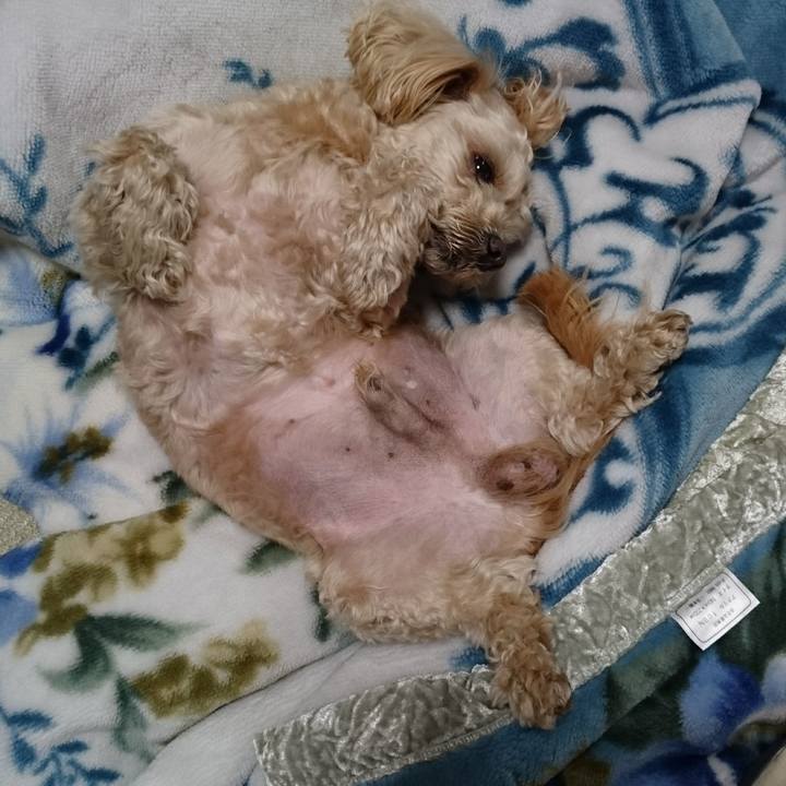 27a2c193 320d 4b1c a4cd e8ce76cbff14 1588080009183