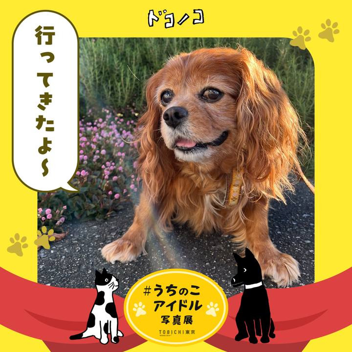 27a2cc25 e35d 4ce3 b54a 1bac5d73bf77 1761188734798