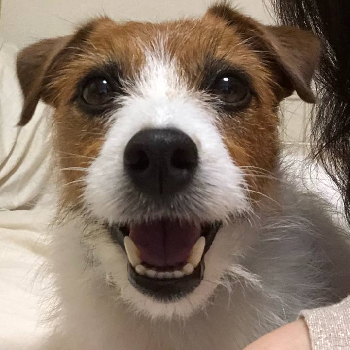 27a2cd05 5719 489e adac 6653a208f2ed 1525521275645