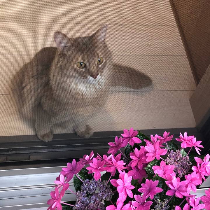 27a2f80b 892a 46b1 808a 3d70656b82cf 1616976866312