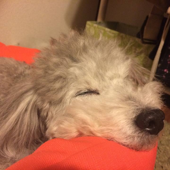 27a31379 6e02 494d 9ec1 75d27f101142 1517620854264