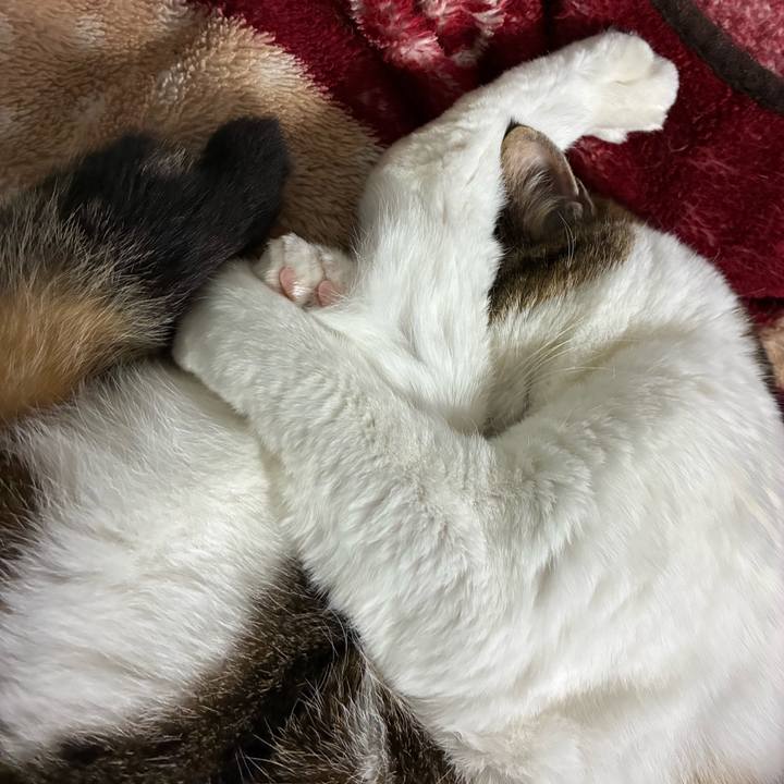 27a315fd a35f 4e9e a7b0 8f5be4376380 1772854065043