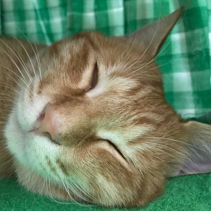 27a321a9 e044 4896 8031 f28c174d703e 1508251406332