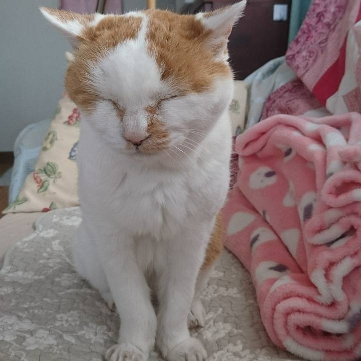 27a37178 e5b5 4736 b287 2a9584ca9db0 1588385976330