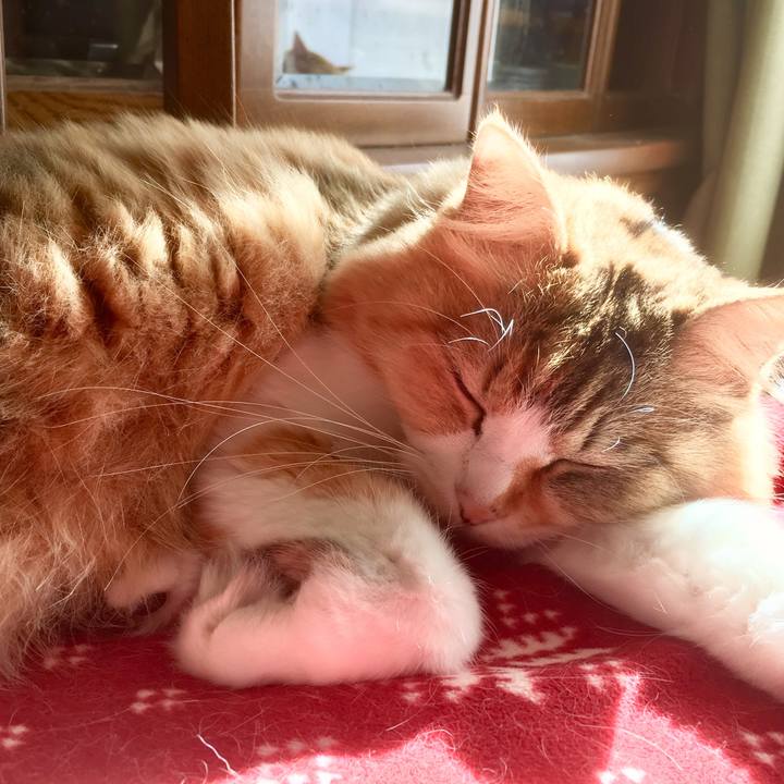 27a399ca cada 438e b8e6 5f3f71239b22 1555020194276