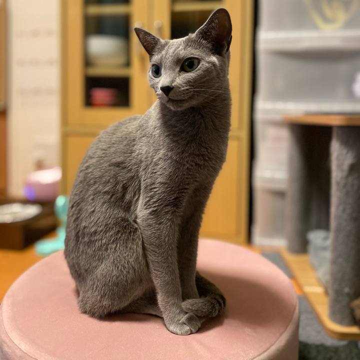 27a3fca1 fdca 4c23 a6d1 0dd776dc0231 1705618453627