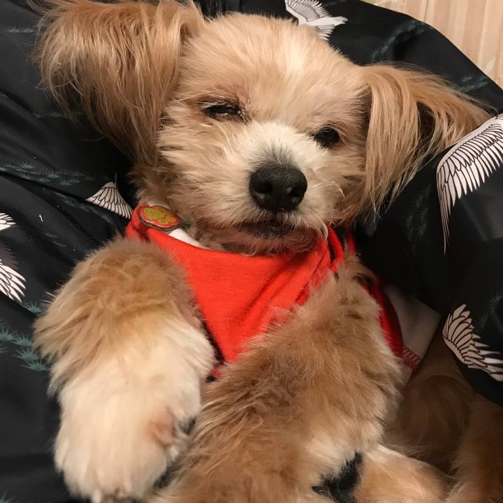 27a40231 aed2 4bb8 8bfc 96819ecda045 1526172710295