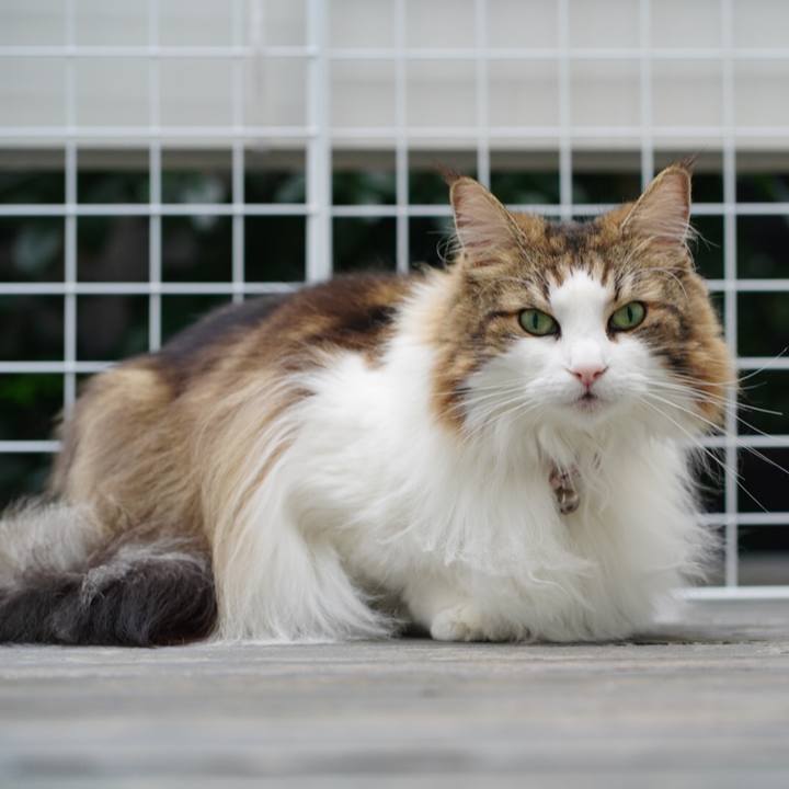 27a42f67 16c0 4684 9b95 4281983d8193 1662637617849