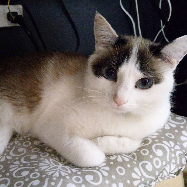 27a48226 bf16 4077 92f9 33190e003c6c 1619672761763