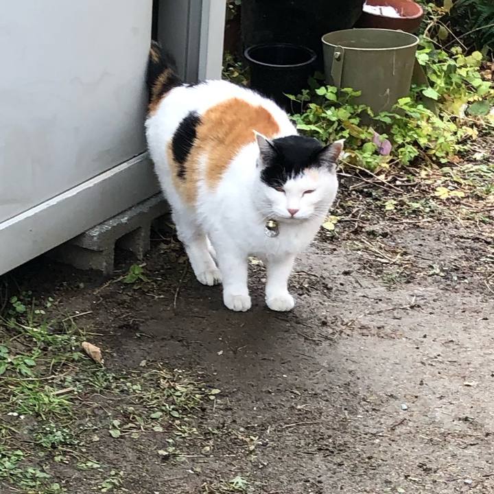 27a48d49 e368 4d60 801b 71eccb9af926 1609416964223