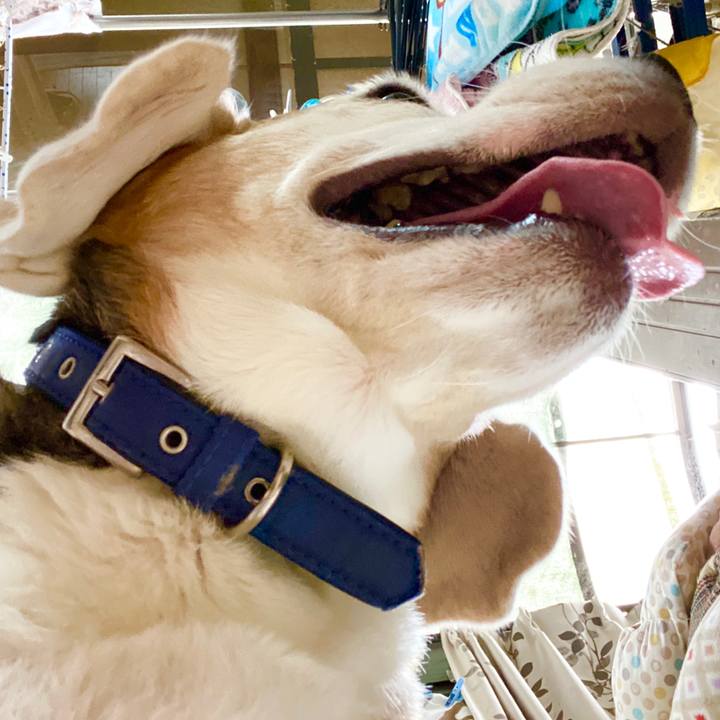 27a4b6c6 f77d 4adb ba14 d0821a8f2632 1593492506283