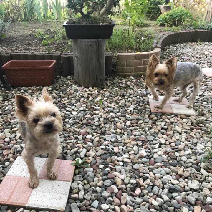 27a4d281 4632 4f93 9446 abb616da0fbe 1599643405098