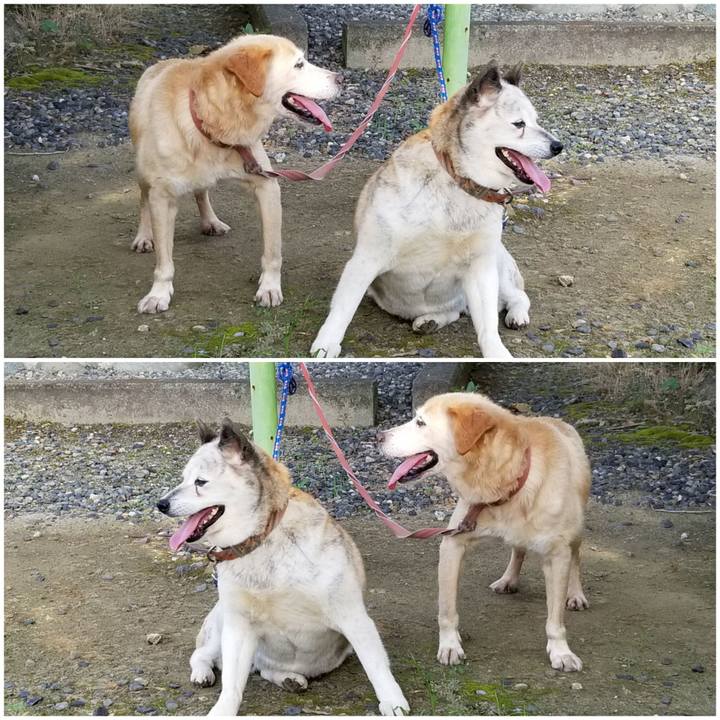 27a4de5b c97b 47c2 9a9d e71c18afcc15 1759928777914