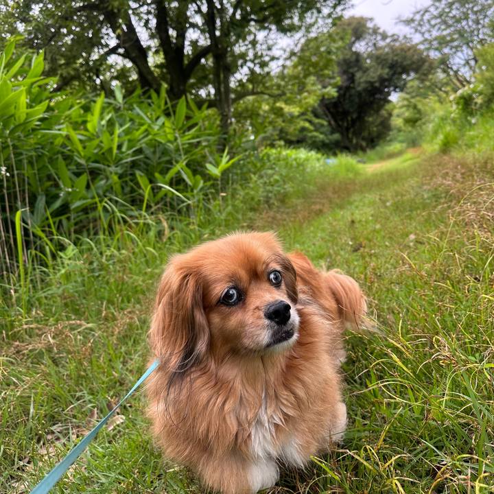 27a4e3f3 76c7 4a45 a3eb 8046b07663cf 1687727378804