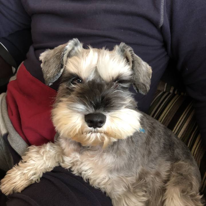 27a4f851 4516 45da ba3a 1028ed7bb941 1544917818976