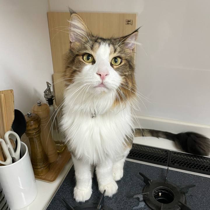 27a51750 20e8 4a33 af9e 8c68317d947a 1661112193763