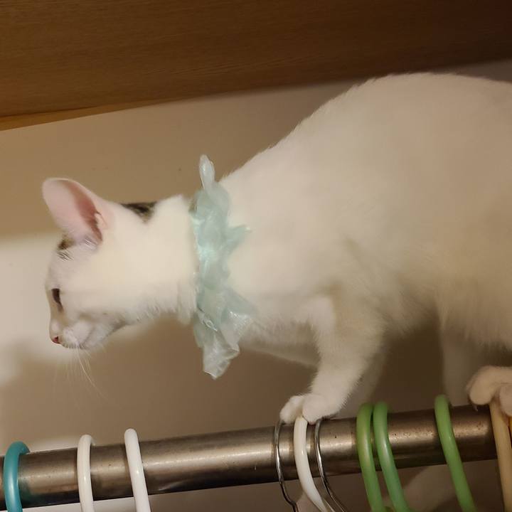 27a52471 e5b4 4d10 bc64 7bacd0f00d95 1637185129512