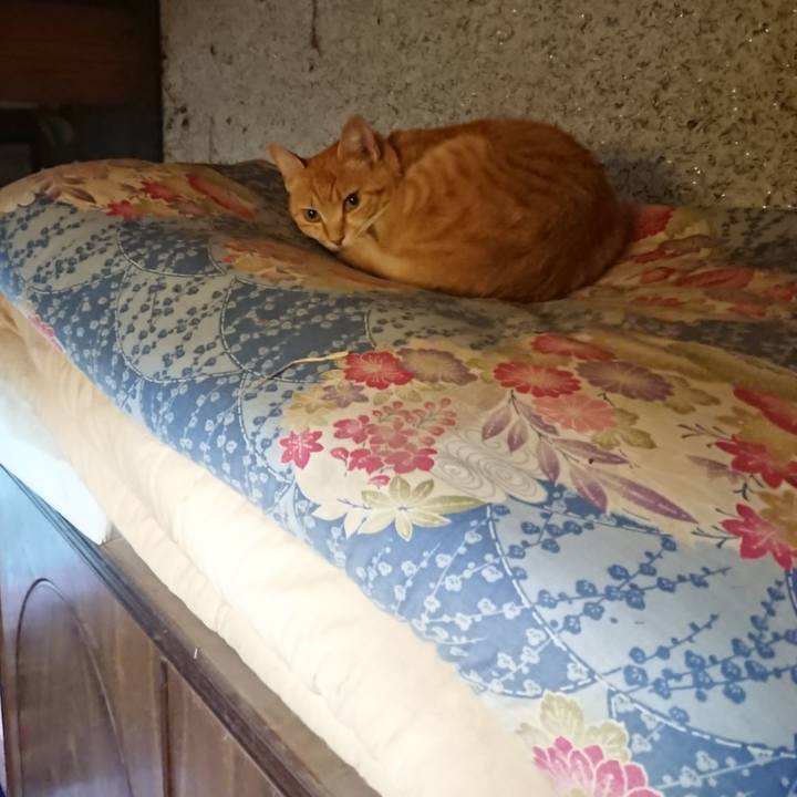 27a5723f a95d 4e07 ada1 018baa0154f2 1593121845887