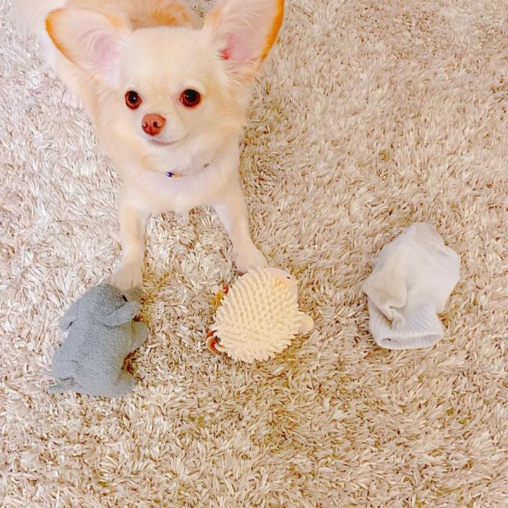 27a57af5 b242 405f 8bd8 2ababf579e1c 1632361419287