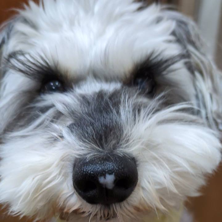 27a5c204 6528 4b79 8738 9904ffbf5840 1764914924807