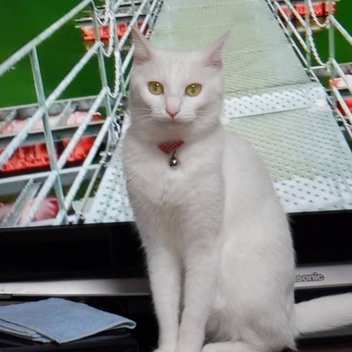 27a6263f 3eaa 4569 bc15 e171902155f4 1632867397557