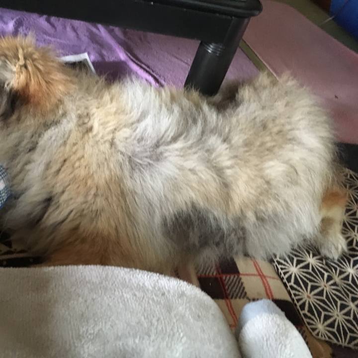 27a64451 db68 4626 b1bf d019afef132a 1567355981710