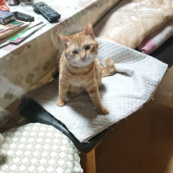 27a64a9c 94c7 48c3 9b8a a01ced39fca5 1646389431568