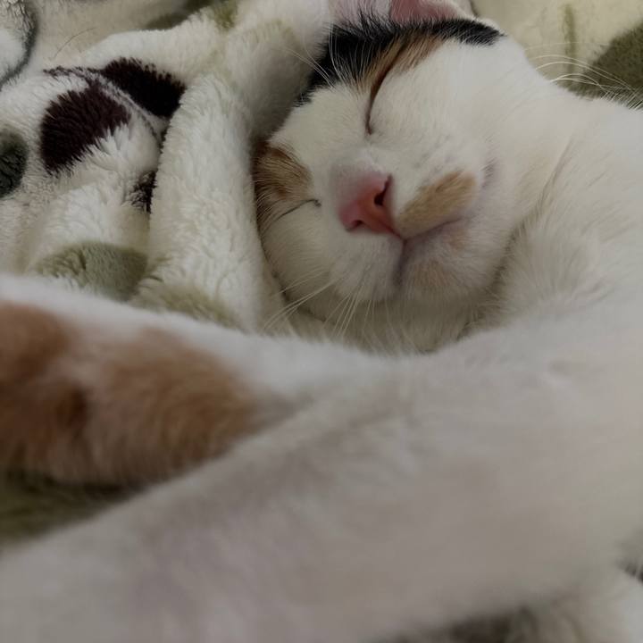 27a67345 d53b 4524 a733 1f12ba2b5409 1773451185767