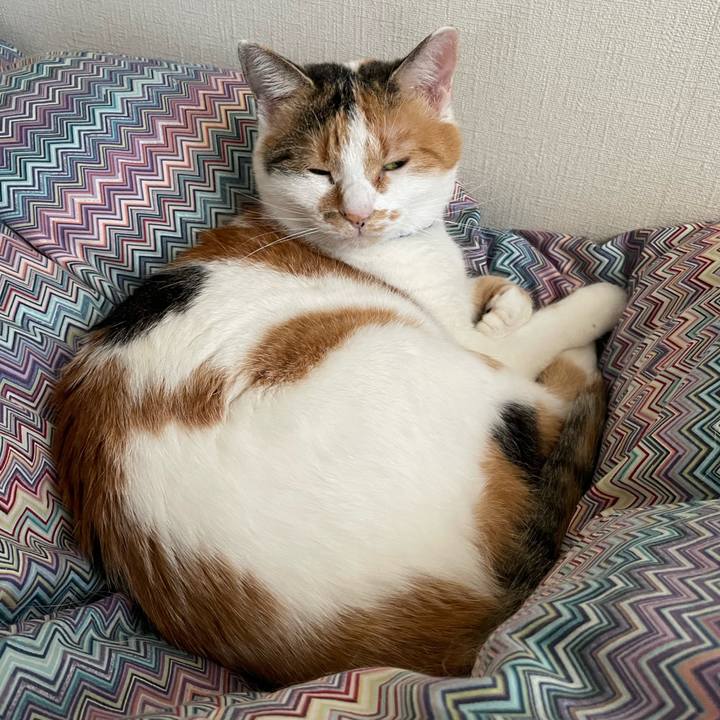 27a67612 f246 4d79 b25c bb19809dc93e 1698117299809