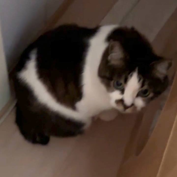 27a6782c 6a25 4279 8228 8f5c184a9e67 1772267217383