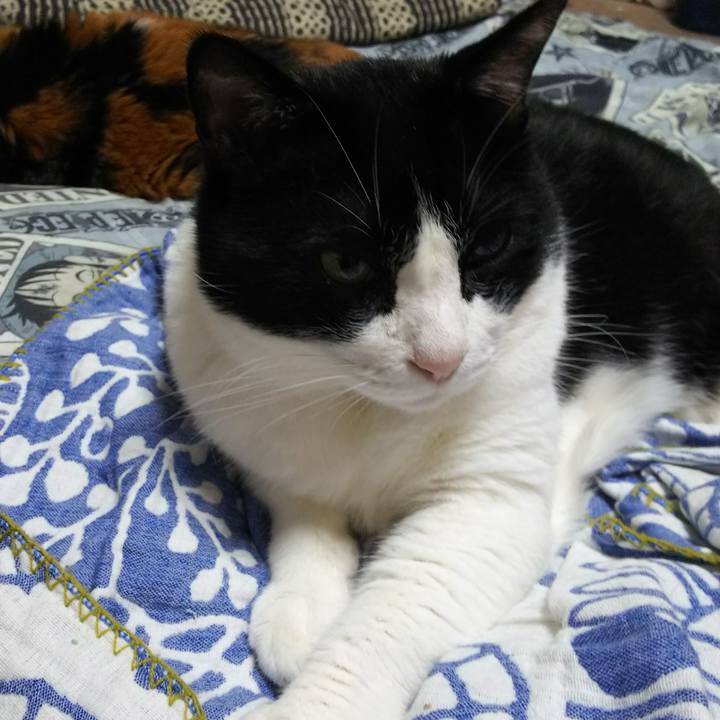 27a691b3 6da8 46fb b480 c2e8e9328610 1530567681397