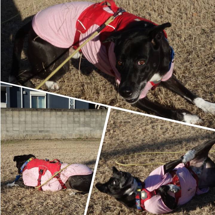 27a6ab35 4c81 42f7 9396 6f636111d833 1671847398693