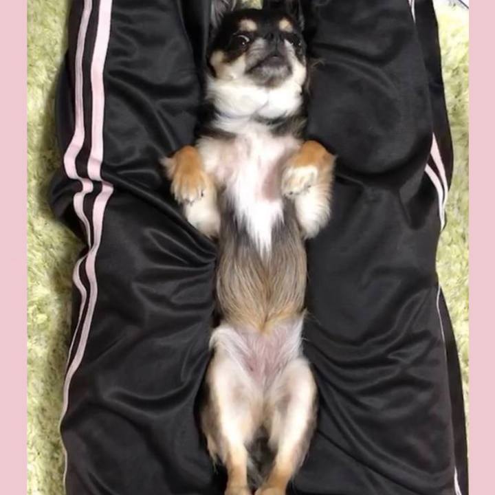 27a6bfff 749e 4212 9b2f 12c6ebf1a86b 1677905941373