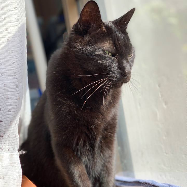 27a6c61c 1cfa 43d6 9f37 0f7ae65981c9 1586568875764