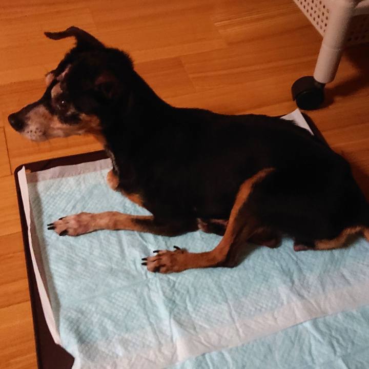 27a6cf1f 9795 48c5 aa2f 81add2b6dc14 1567574974634