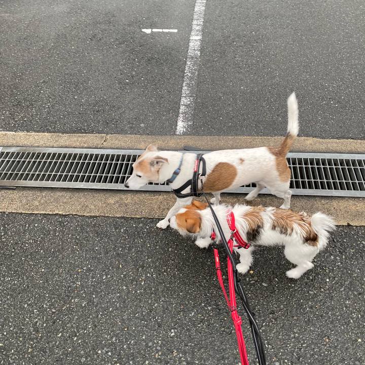 27a71493 830c 4390 82fa 8fadc575d5bc 1631658937759