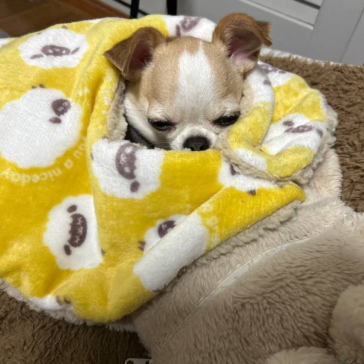 27a737fc f4cf 4fd4 b7b3 254042664b02 1765103609818