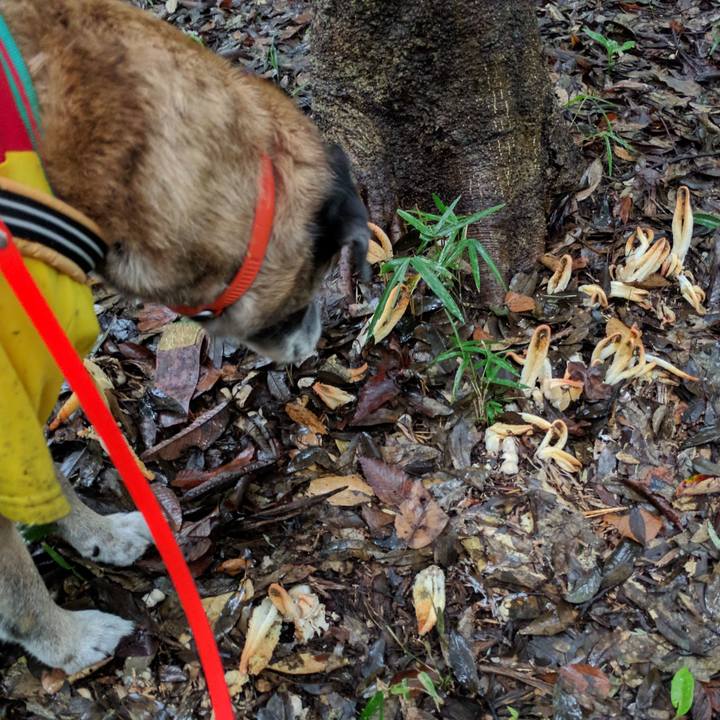 27a73e1b 426d 4bfc 9712 2bdb2461c206 1746321193811