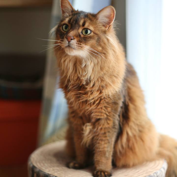 27a7514d e516 4bff 8594 fa93b2e81dc4 1716167065230