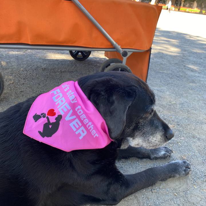 27a760f6 c6fb 40ec 924e 58b82ecd52fe 1698112585899