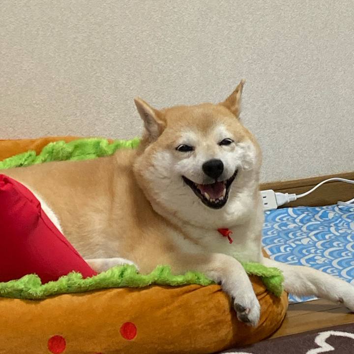 27a76a1c defa 4b76 bdae 705c1e1cad8b 1653643252901